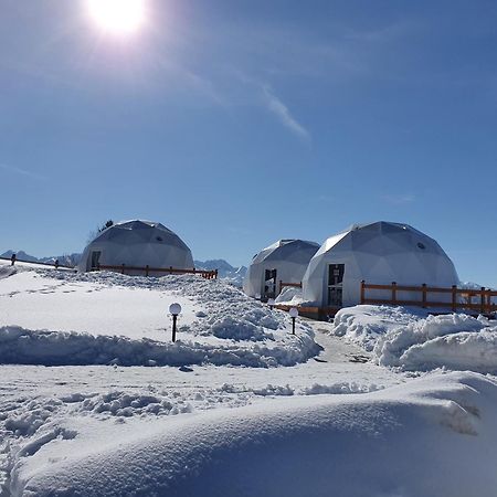 Glamping Pasieka Namiot Glamp Bukowina Tatrzanska - Domki W Gorach Gron Exterior photo