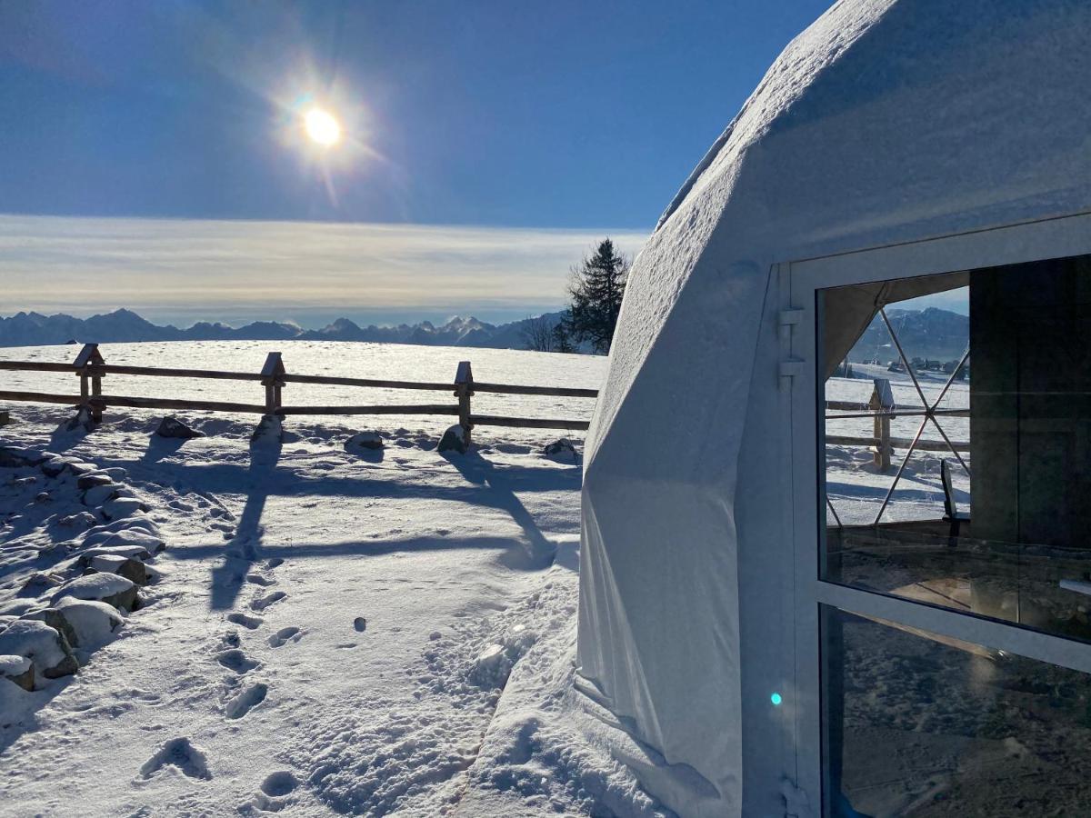 Glamping Pasieka Namiot Glamp Bukowina Tatrzanska - Domki W Gorach Gron Exterior photo
