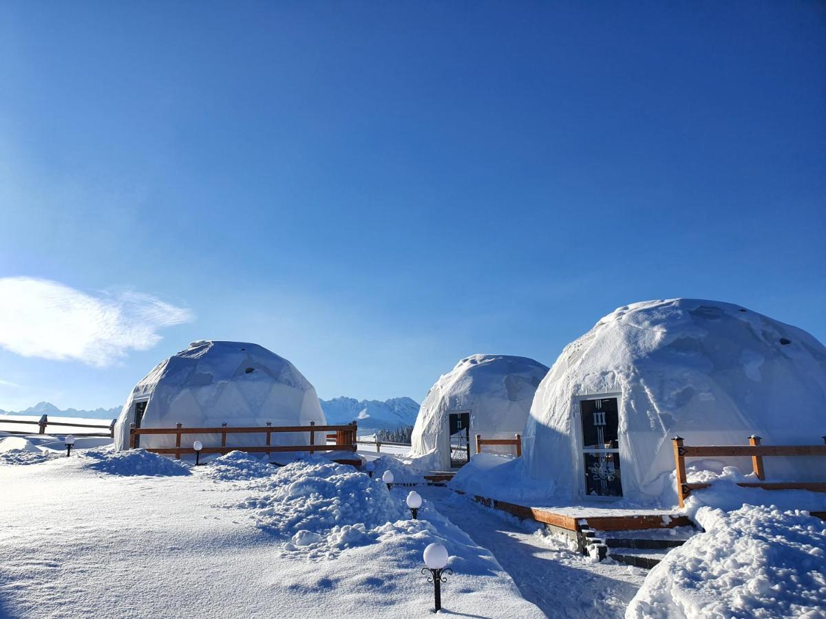 Glamping Pasieka Namiot Glamp Bukowina Tatrzanska - Domki W Gorach Gron Exterior photo