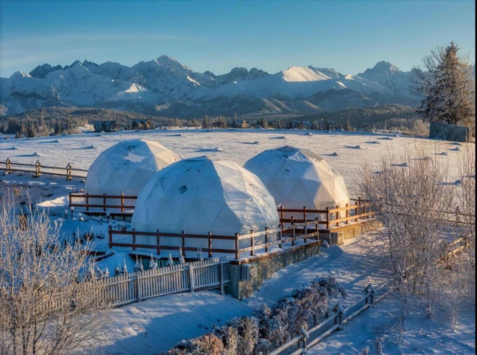 Glamping Pasieka Namiot Glamp Bukowina Tatrzanska - Domki W Gorach Gron Exterior photo